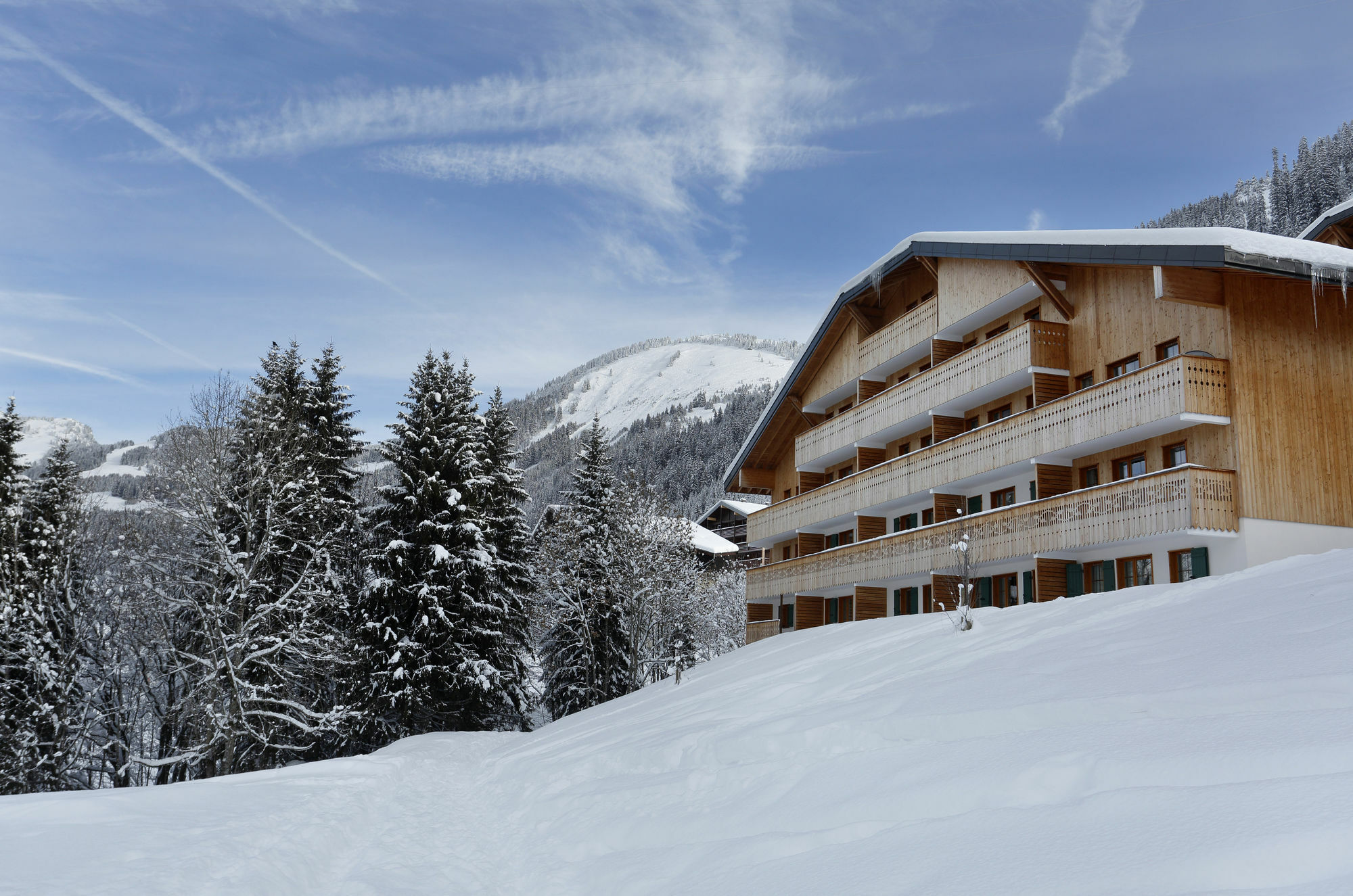 Châtel Residence Nemea Le Grand Lodge מראה חיצוני תמונה